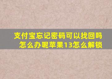 支付宝忘记密码可以找回吗怎么办呢苹果13怎么解锁