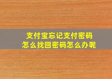 支付宝忘记支付密码怎么找回密码怎么办呢