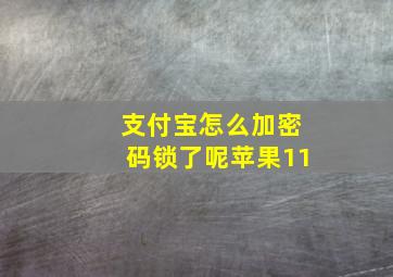 支付宝怎么加密码锁了呢苹果11