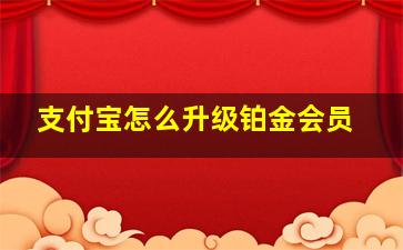 支付宝怎么升级铂金会员