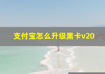 支付宝怎么升级黑卡v20