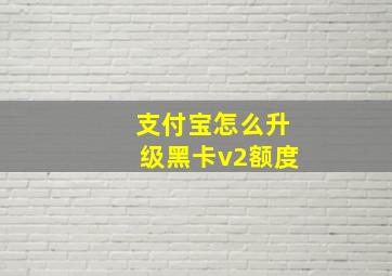 支付宝怎么升级黑卡v2额度