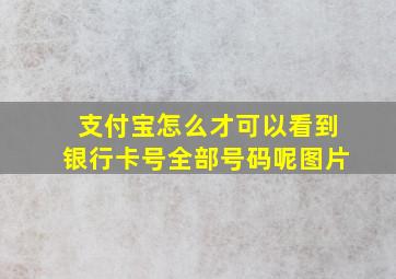 支付宝怎么才可以看到银行卡号全部号码呢图片