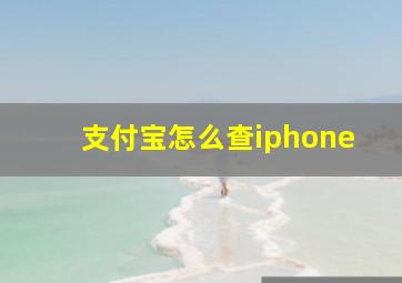 支付宝怎么查iphone