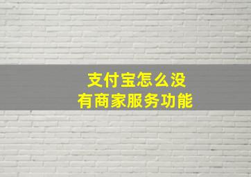 支付宝怎么没有商家服务功能