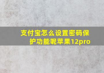 支付宝怎么设置密码保护功能呢苹果12pro