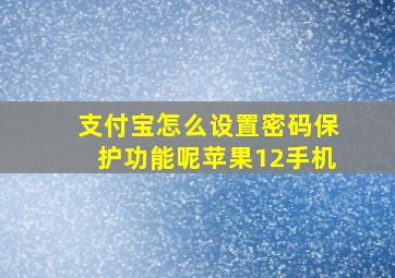 支付宝怎么设置密码保护功能呢苹果12手机