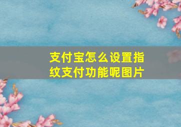 支付宝怎么设置指纹支付功能呢图片