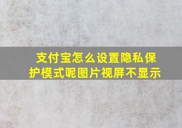 支付宝怎么设置隐私保护模式呢图片视屏不显示