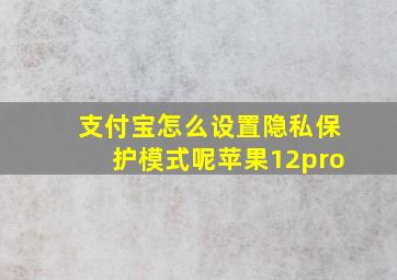 支付宝怎么设置隐私保护模式呢苹果12pro