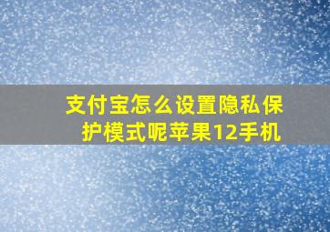 支付宝怎么设置隐私保护模式呢苹果12手机