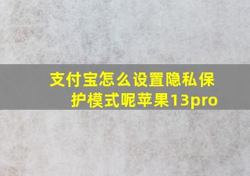 支付宝怎么设置隐私保护模式呢苹果13pro