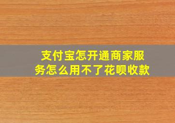 支付宝怎开通商家服务怎么用不了花呗收款