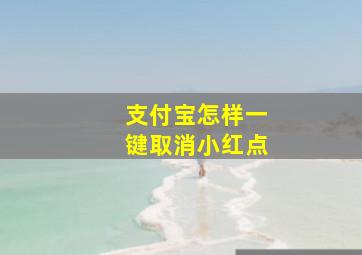 支付宝怎样一键取消小红点