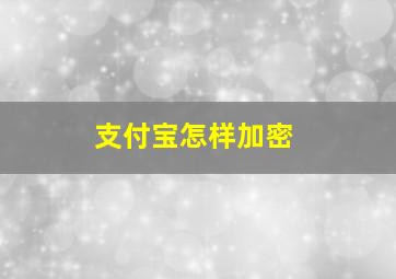 支付宝怎样加密