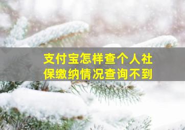 支付宝怎样查个人社保缴纳情况查询不到