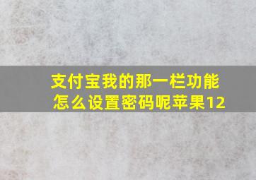 支付宝我的那一栏功能怎么设置密码呢苹果12