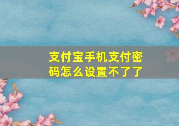 支付宝手机支付密码怎么设置不了了