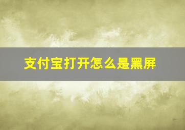 支付宝打开怎么是黑屏