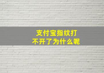 支付宝指纹打不开了为什么呢