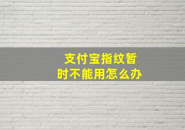 支付宝指纹暂时不能用怎么办