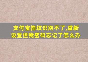 支付宝指纹识别不了,重新设置但我密码忘记了怎么办