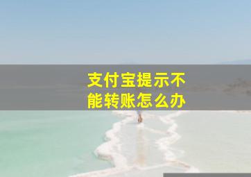 支付宝提示不能转账怎么办