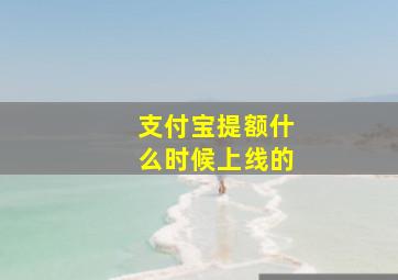 支付宝提额什么时候上线的