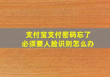 支付宝支付密码忘了必须要人脸识别怎么办