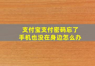 支付宝支付密码忘了手机也没在身边怎么办