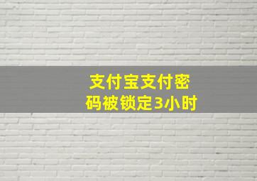 支付宝支付密码被锁定3小时