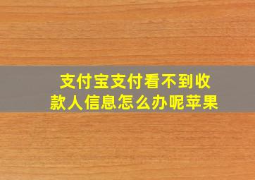 支付宝支付看不到收款人信息怎么办呢苹果