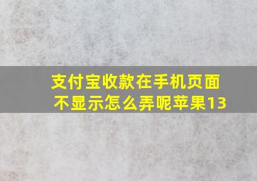 支付宝收款在手机页面不显示怎么弄呢苹果13