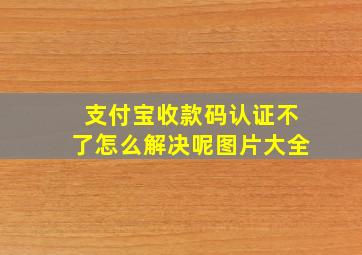 支付宝收款码认证不了怎么解决呢图片大全