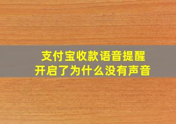 支付宝收款语音提醒开启了为什么没有声音