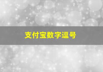 支付宝数字逗号