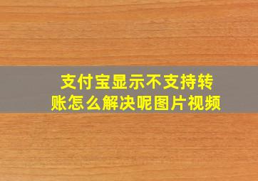 支付宝显示不支持转账怎么解决呢图片视频