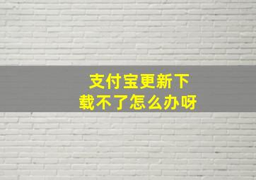 支付宝更新下载不了怎么办呀