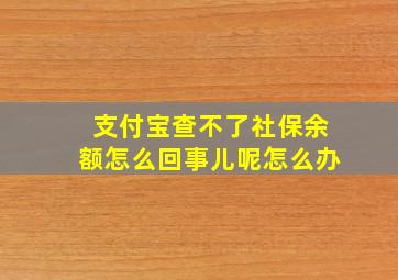 支付宝查不了社保余额怎么回事儿呢怎么办