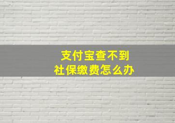 支付宝查不到社保缴费怎么办