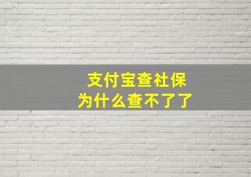 支付宝查社保为什么查不了了