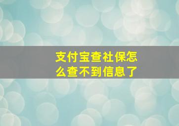 支付宝查社保怎么查不到信息了