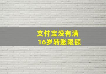 支付宝没有满16岁转账限额