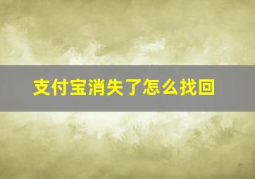 支付宝消失了怎么找回