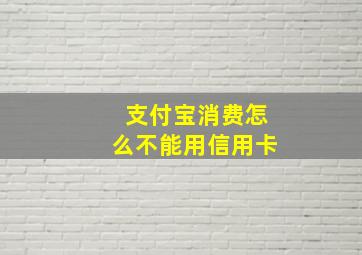 支付宝消费怎么不能用信用卡