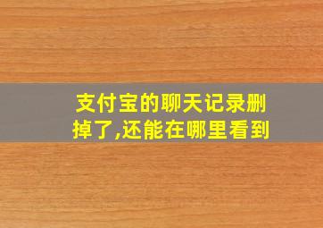 支付宝的聊天记录删掉了,还能在哪里看到