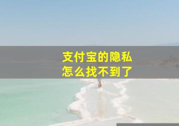 支付宝的隐私怎么找不到了