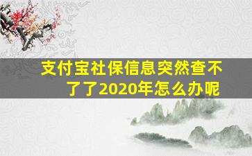 支付宝社保信息突然查不了了2020年怎么办呢