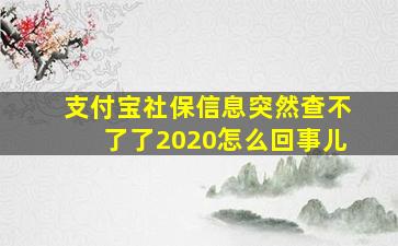 支付宝社保信息突然查不了了2020怎么回事儿