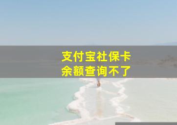 支付宝社保卡余额查询不了